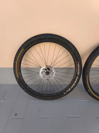 Ruedas MTB retrospeack