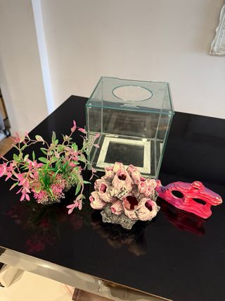 Pecera y decoraciones acuario