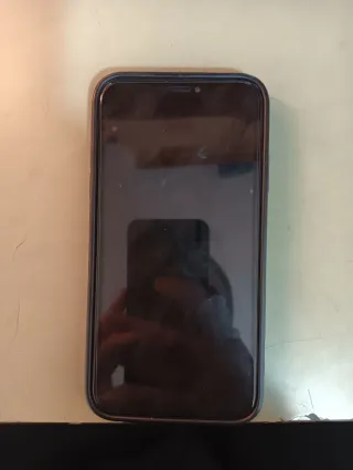 iPhone XR rotto ma riparabile