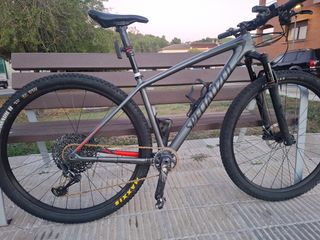 Bicicleta Specialized HT Carbono 