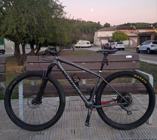 Bicicleta Specialized HT Carbono 