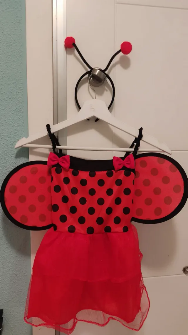 Disfraz mariquita 3-5 años