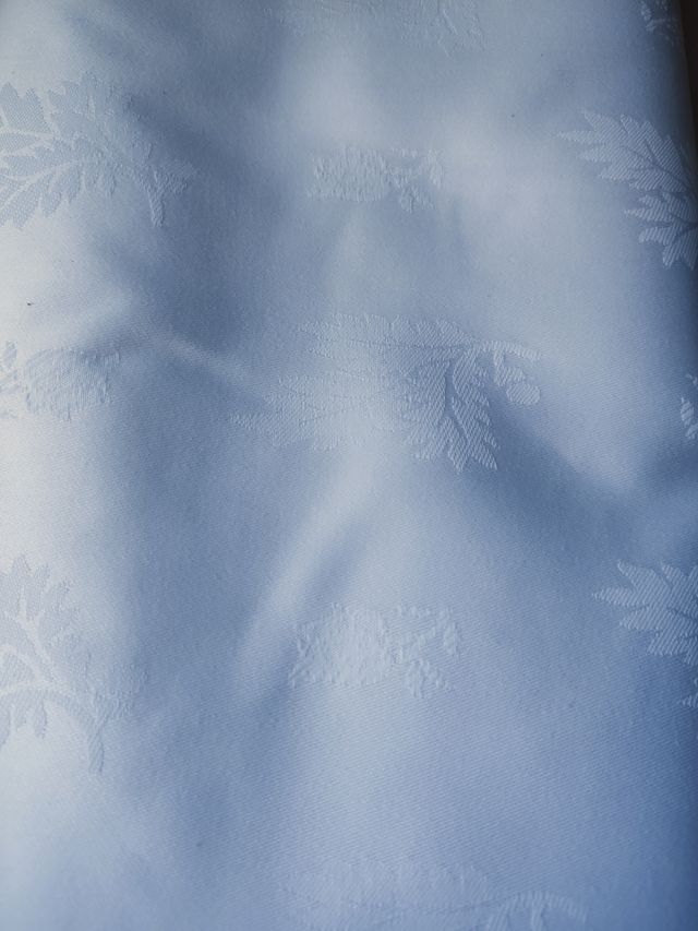 Tela JACQUARD blanca con dibujo vegetal (3m)