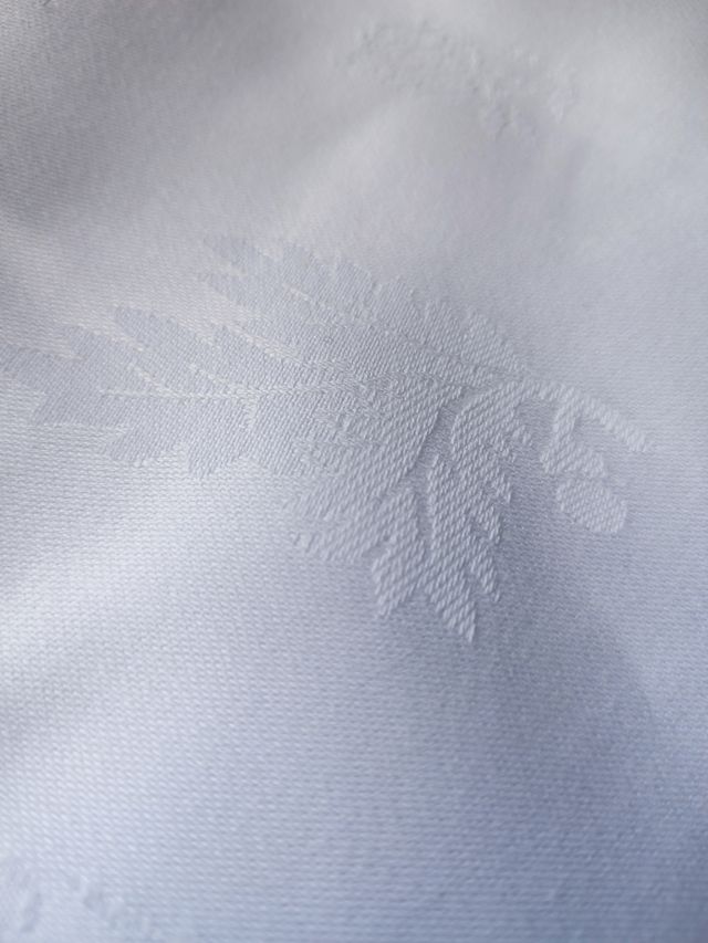 Tela JACQUARD blanca con dibujo vegetal (3m)