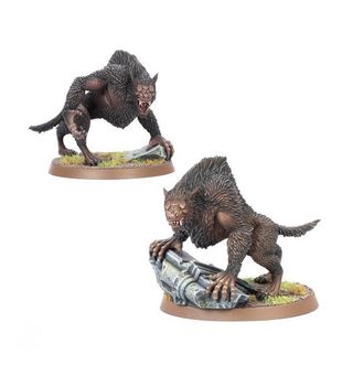 Hombres Lobo de Angmar - Middle Earth