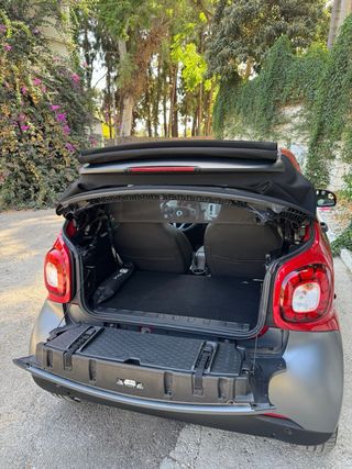 smart fortwo cabrio passion