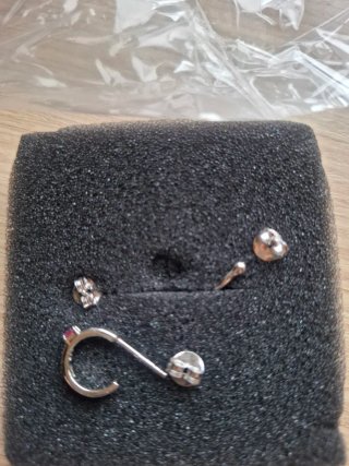 Conjunto Pendientes Lotus Silver Plata