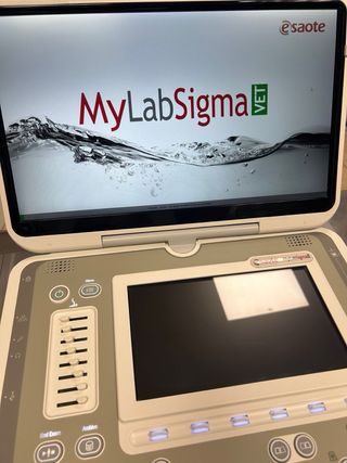 Ecógrafo portátil Esaote MyLabSigma con sonda