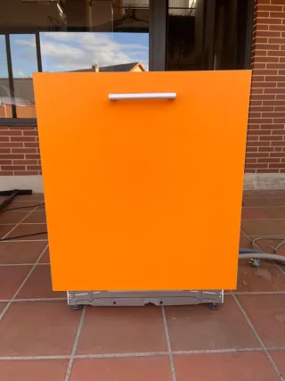 Lavavajillas panelable Zanussi