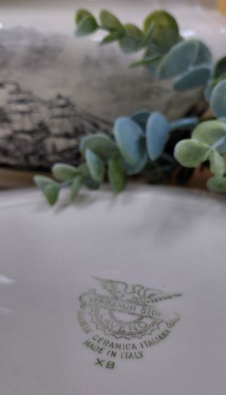 Zuppiera con vassoio vintage Laveno