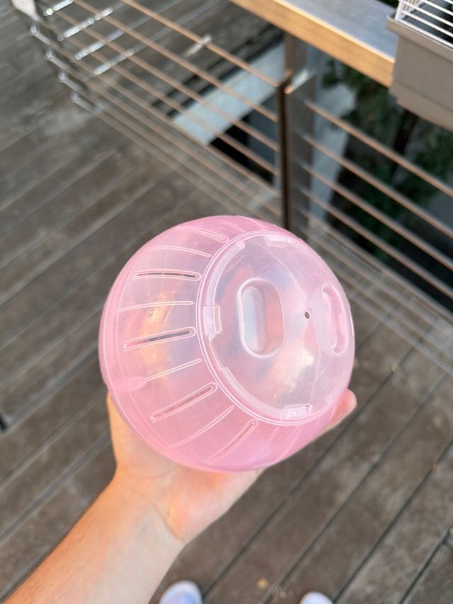 Jaula para hámster con accesorios