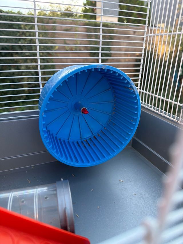 Jaula para hámster con accesorios