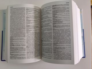 Dizionario francese Garzanti