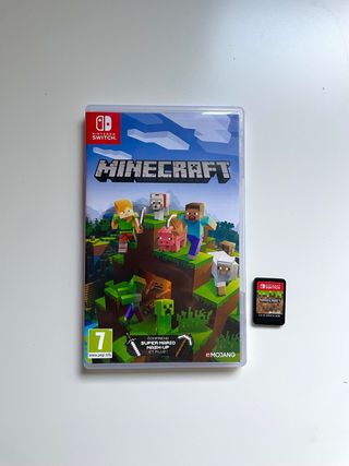 Minecraft Nintendo Switch