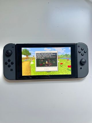Minecraft Nintendo Switch