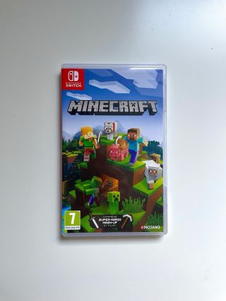 Minecraft Nintendo Switch