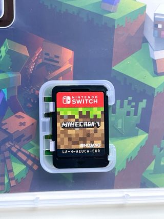 Minecraft Nintendo Switch