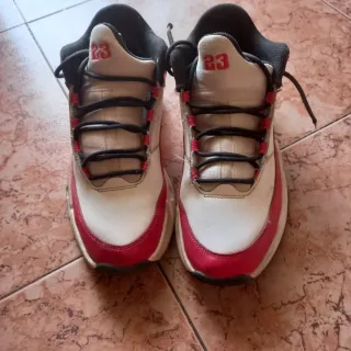 Zapatillas Jordan Rojas y Blancas