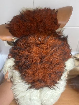 Peluche Gremlin
