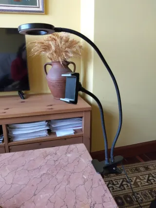 Lámpara LED flexible con pinza