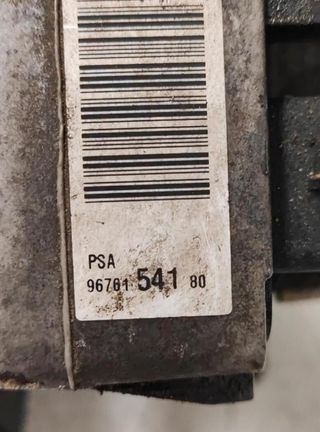 Peugeot 9676154180 bomba de dirección 508 296481
