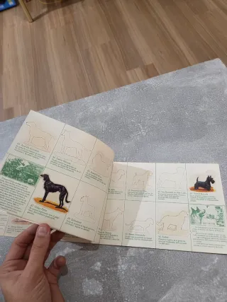 Colección Album de Cromos Panrico 1976 
