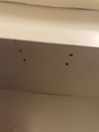 Estantería Billy Ikea Blanca