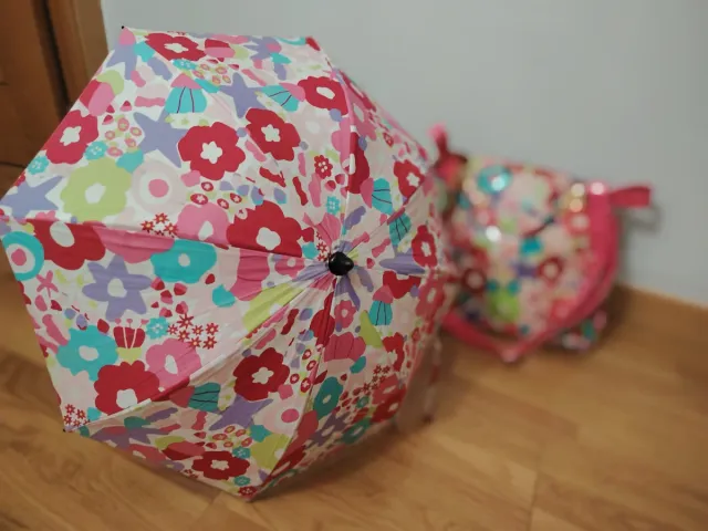 Carrito + Bolso + Sombrilla + Plástico Lluvia