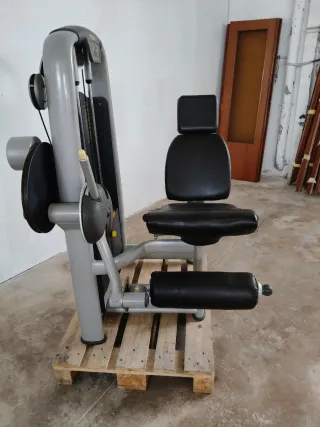 CUADRICEPS TECHNOGYM SELECTION!