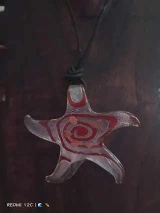Colgante estrella de mar