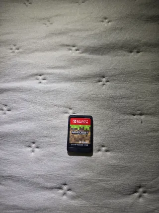 Minecraft Nintendo Switch