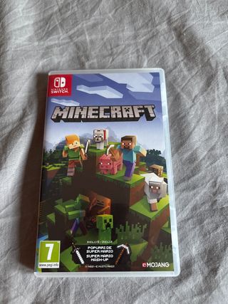 Minecraft Nintendo Switch