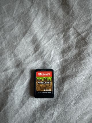 Minecraft Nintendo Switch