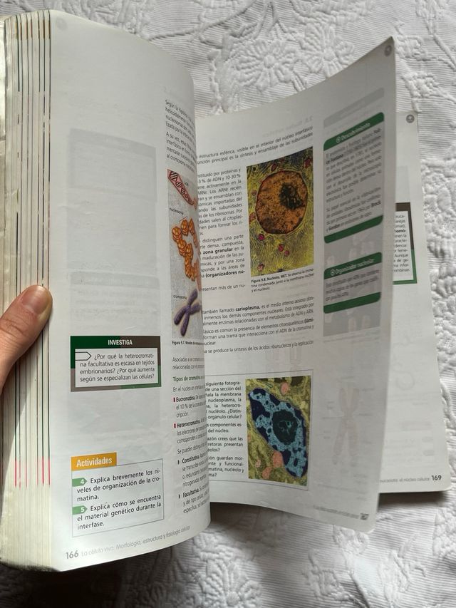 Libros Biología y Geología 1o y 2o Bachillerato 