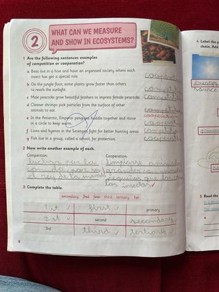 Activity Book de Naturales de 5 Primaria