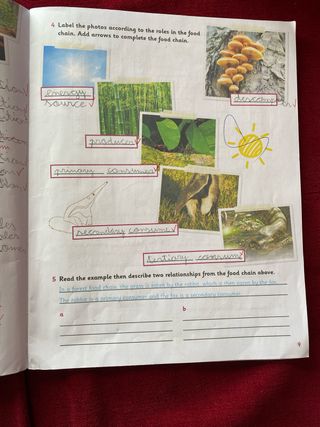 Activity Book de Naturales de 5 Primaria