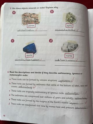 Activity Book de Naturales de 5 Primaria