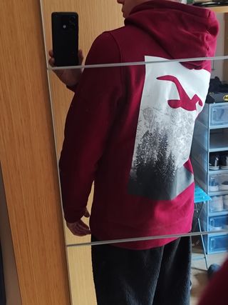 Sudadera Hollister Roja con Logo