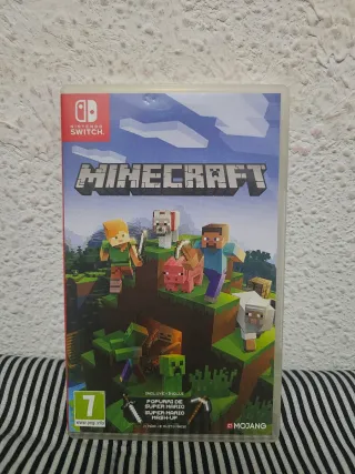 Minecraft Nintendo Switch