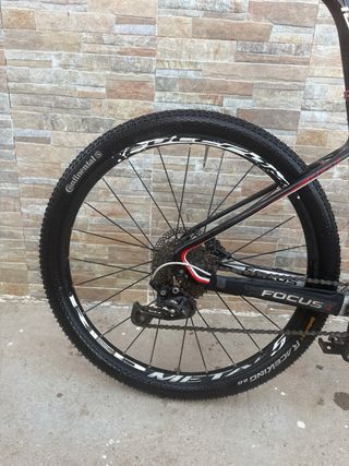 Bicicleta de montaña Focus Raven