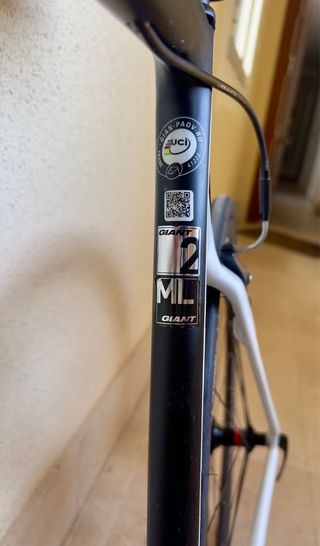 Bicicleta Giant Propel Advance Talla M/L