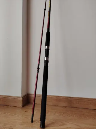 Caña y carrete pesca spinning