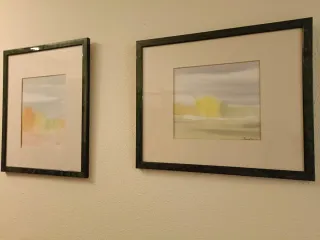 2 Quadri ad acquerello 42x36