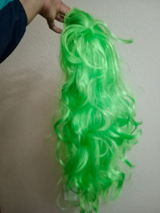 Peluca Larga Mujer Verde bruja halloween