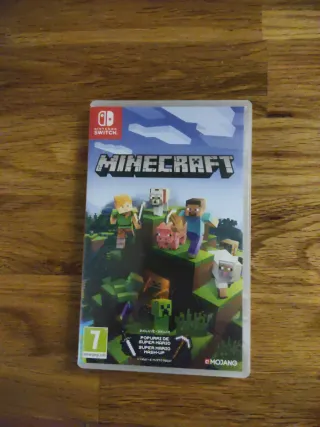 Minecraft Nintendo Switch
