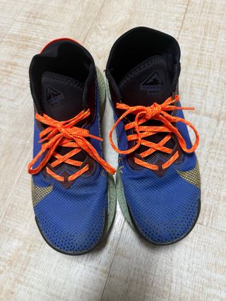 Nike Pegasus Trail GTX Talla 42.5