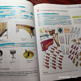 Libro de música: Instrumentos musicales