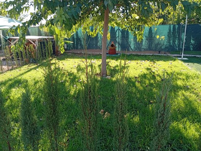 Parcela , terreno, campo en venta