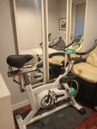 Bicicleta Estática Cecotec Profesional X
