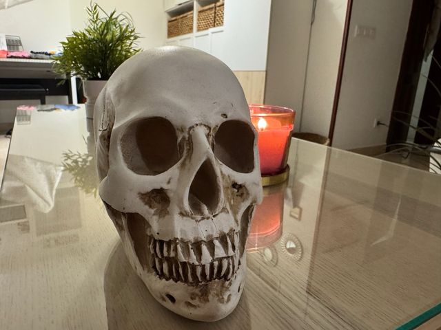 Calavera decorativa realista